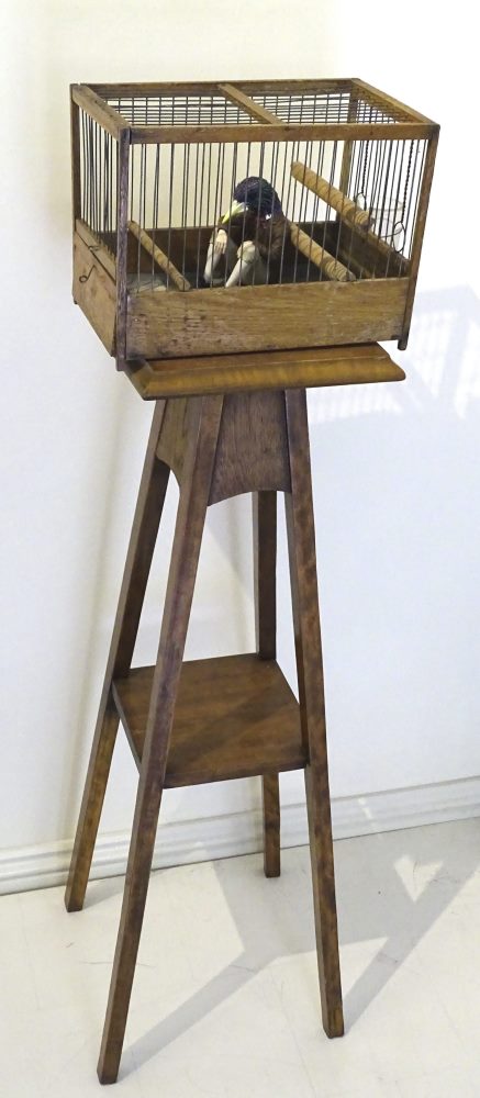 The Patronage of Avian John